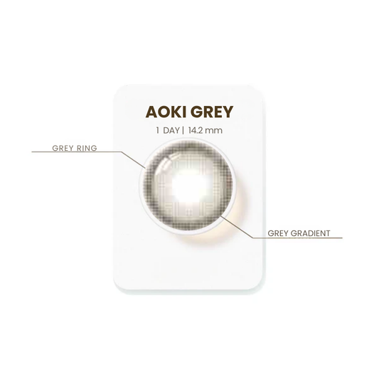 NEW Aoki Grey | ED010