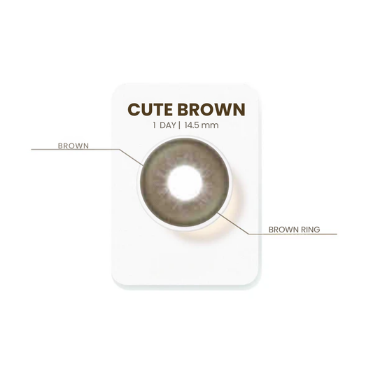 NEW Cute Brown｜ED054