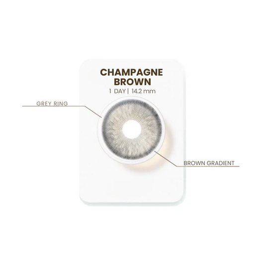 NEW Champagne Brown | ED056