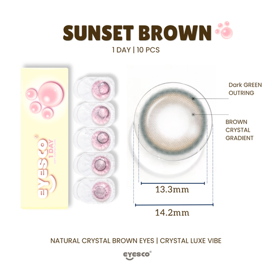 【NEW COZY DAILY🐾】Sunset Brown